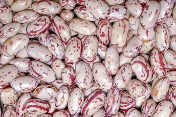 Image showing Beans salad