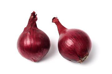 Image showing Red Spanish Onion