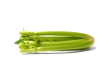 Image showing Green Celery on White Background