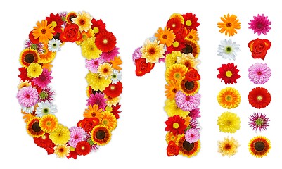 Image showing Numbers 0 and 1 made of various flowers
