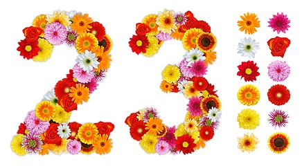 Image showing Numbers 2 and 3 made of various flowers