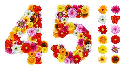 Image showing Numbers 4 and 5 made of various flowers