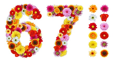 Image showing Numbers 6 and 7 made of various flowers