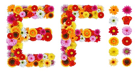 Image showing Characters E and F made of various flowers