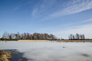 Image showing Wetland with melting ice