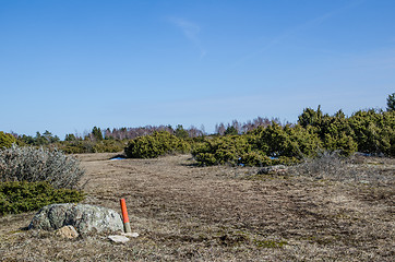 Image showing Marked trail in wilderness