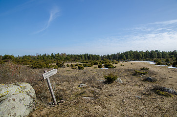 Image showing Wooden sign at a trail into wilderness