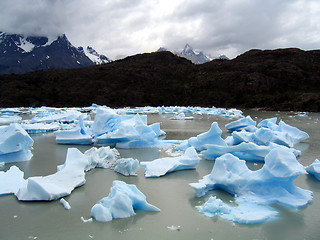 Image showing Ice Scuplture