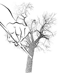 Image showing Tree illustration pen