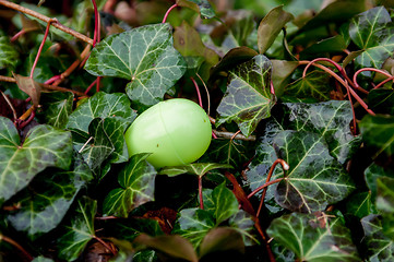 Image showing easter eggs hidden in backyard