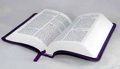 Image showing open Bible isolated on a white background.