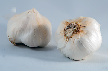 Image showing Garlic isolated on white background