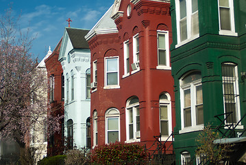 Image showing Classic American Architecture in Washington Dc