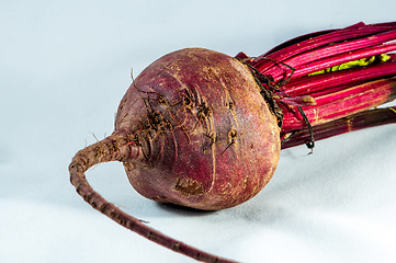 Image showing beetroot over white background