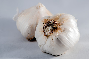 Image showing Garlic isolated on white background