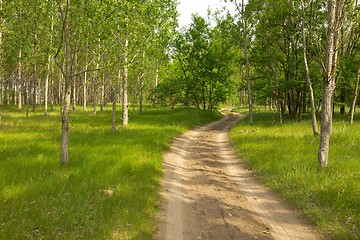 Image showing Dirt Road