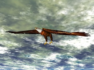 Image showing Eagle