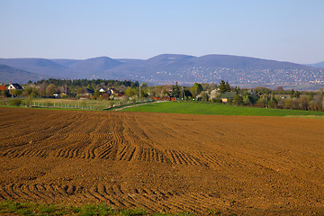 Image showing Field