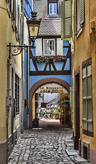 Image showing Hidden Terrace in Colmar