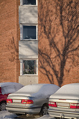 Image showing Winter afternoon after snowfall