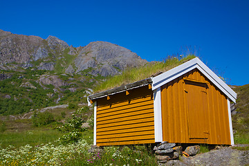 Image showing Shed with green roof