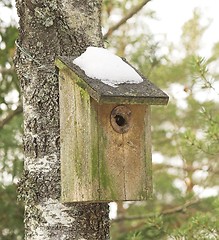 Image showing Bird house