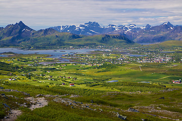 Image showing Green Lofoten