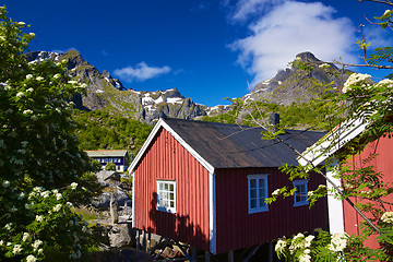 Image showing Fishing huts in Nusfjord