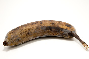 Image showing Black banana