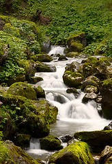 Image showing Waterfall