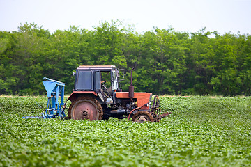 Image showing Tractor