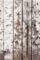 Image showing grungy white background of natural wood