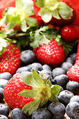 Image showing Summer Fruits