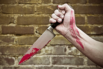 Image showing Stabbing knife