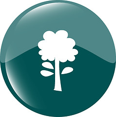 Image showing Tree icon on round button collection original illustration