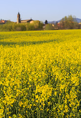 Image showing Rural landscape 