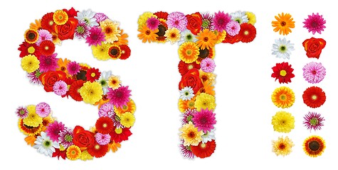 Image showing Characters S and T made of various flowers