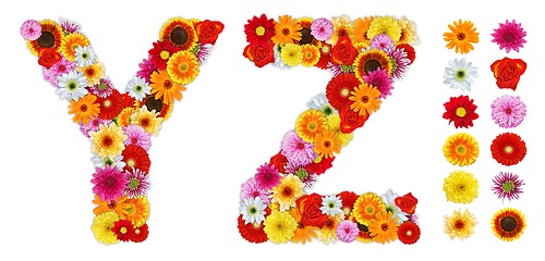 Image showing Characters Y and Z made of various flowers