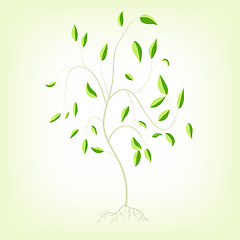 Image showing Young tree with roots, a vector illustration