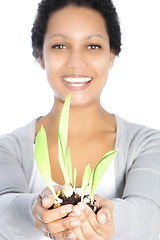 Image showing Beautiful woman nurturing a spring bulb