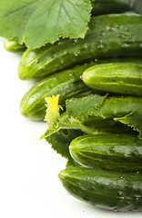 Image showing Fresh cucumbers