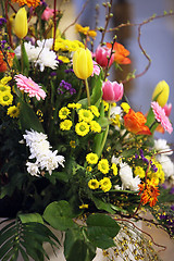 Image showing Beautiful various flowers in a summer day