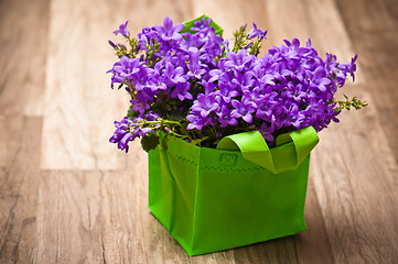 Image showing campanula blue a close up