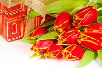 Image showing Red tulip with petals fringed by yellow and gift box, it is isol