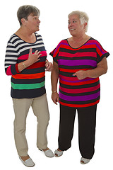 Image showing Two female seniors