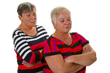 Image showing Two female seniors in dispute 