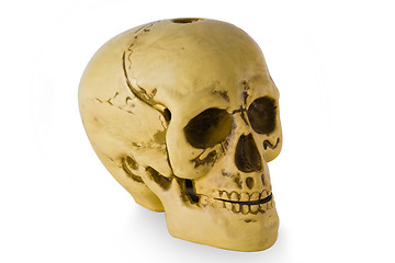 Image showing Human skull_2