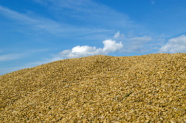 Image showing pile ecological wheat grain corn harvest sky 