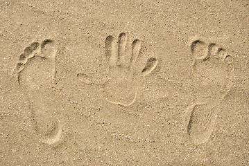 Image showing Traces on sand