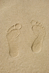 Image showing Traces on sand